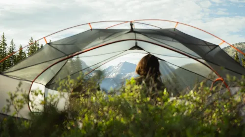 A person seen through a mesh tent doorway, facing a snow-capped mountain at sunrise.