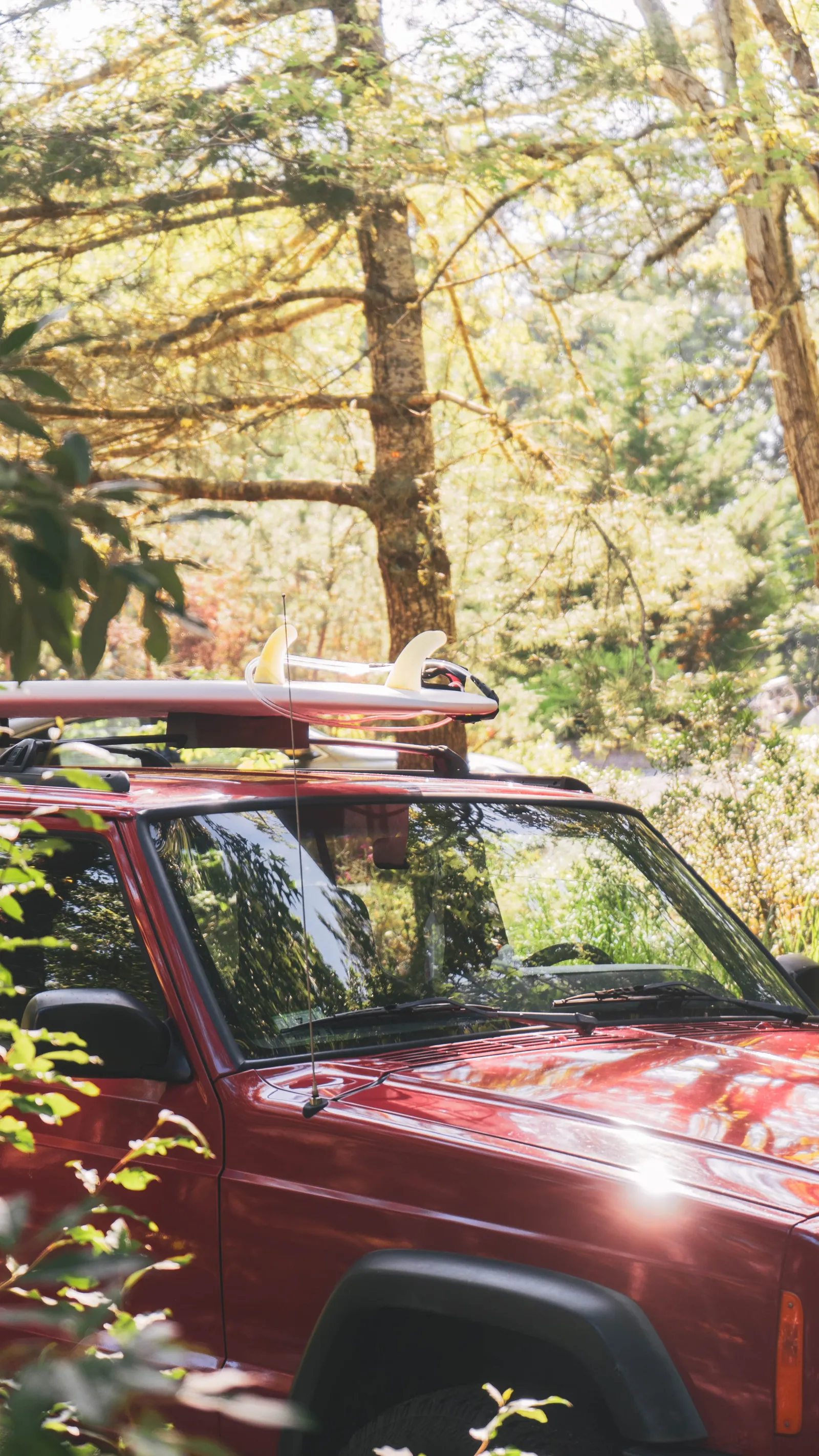 A red SUV with a surfboard strapped to the roof rack, parked in dappled forest sunlight.