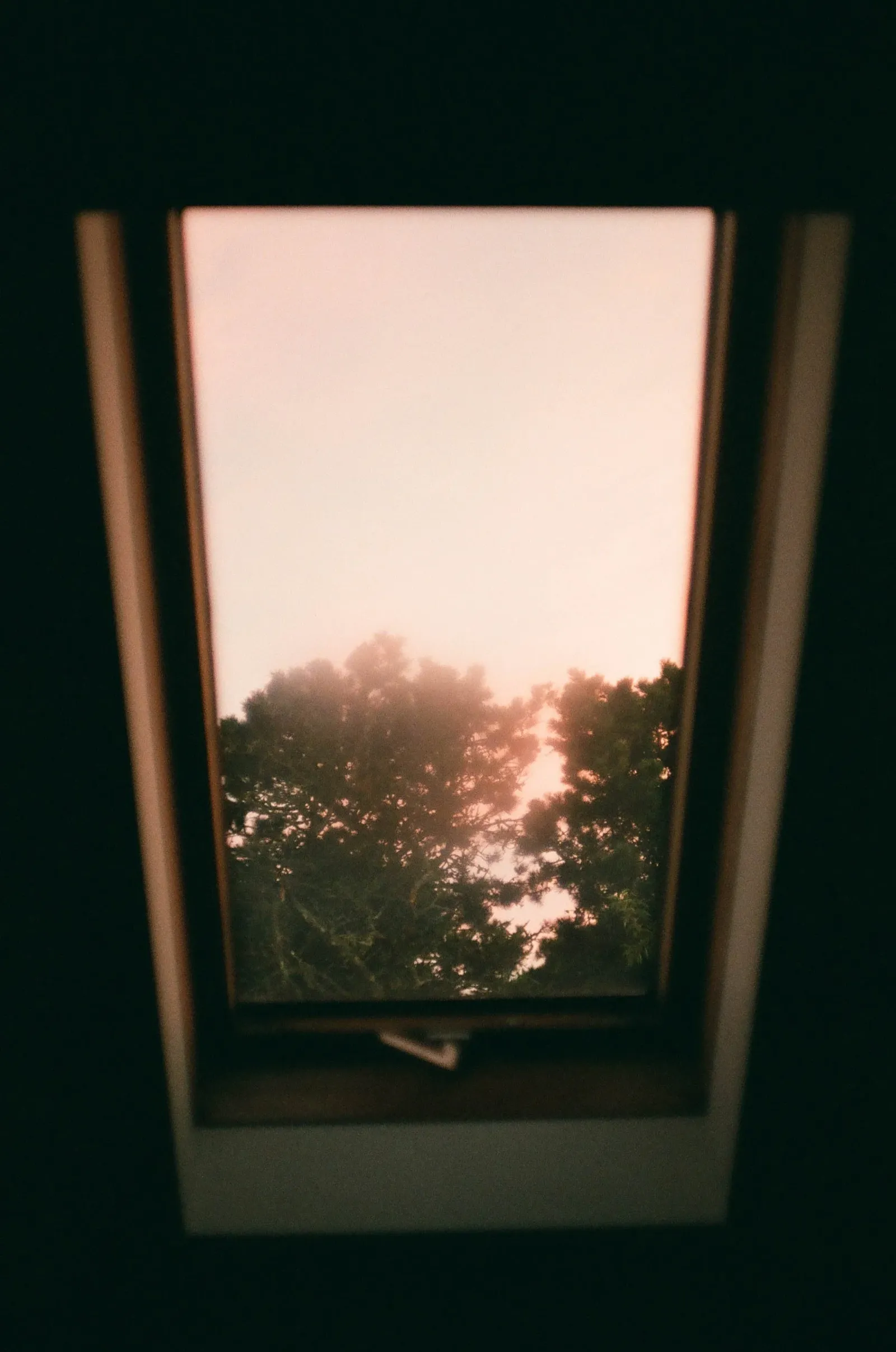 Film photo shot through an open skylight window at treetops silhouetted against a pink dawn sky.