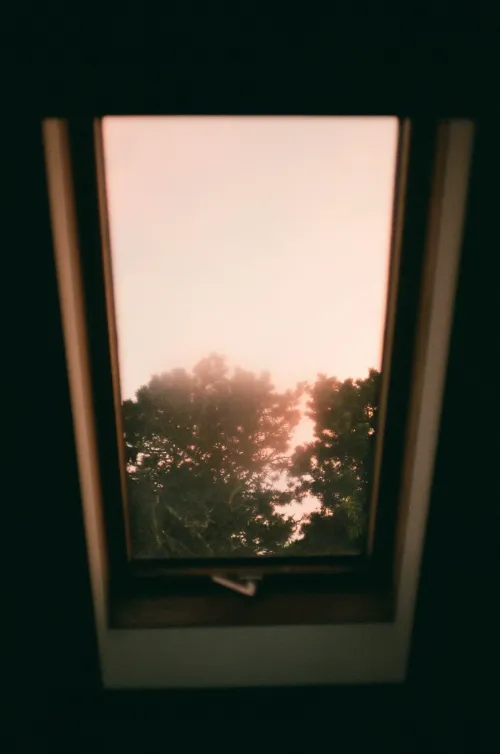 Film photo shot through an open skylight window at treetops silhouetted against a pink dawn sky.