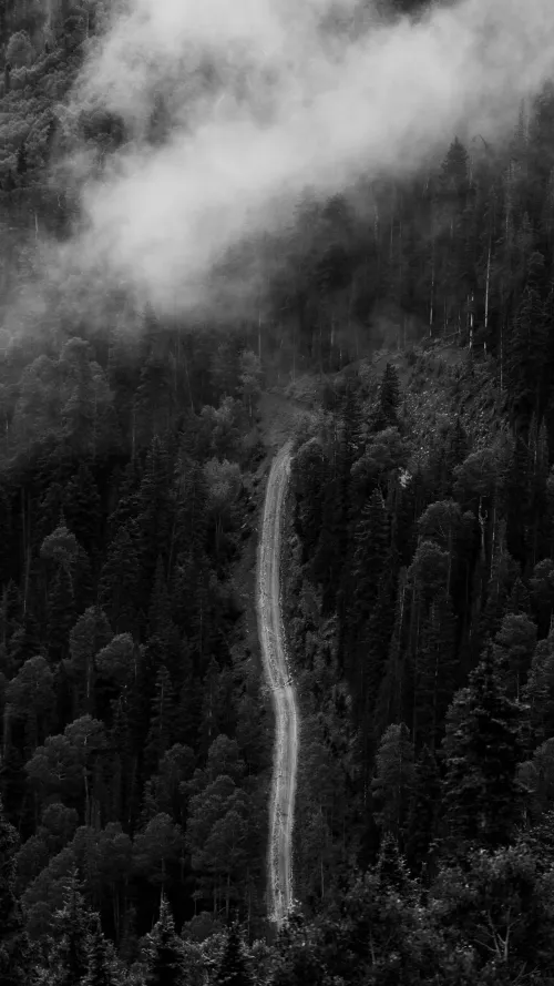 Black-and-white aerial view of a dirt road winding through a fog-covered forested mountainside.