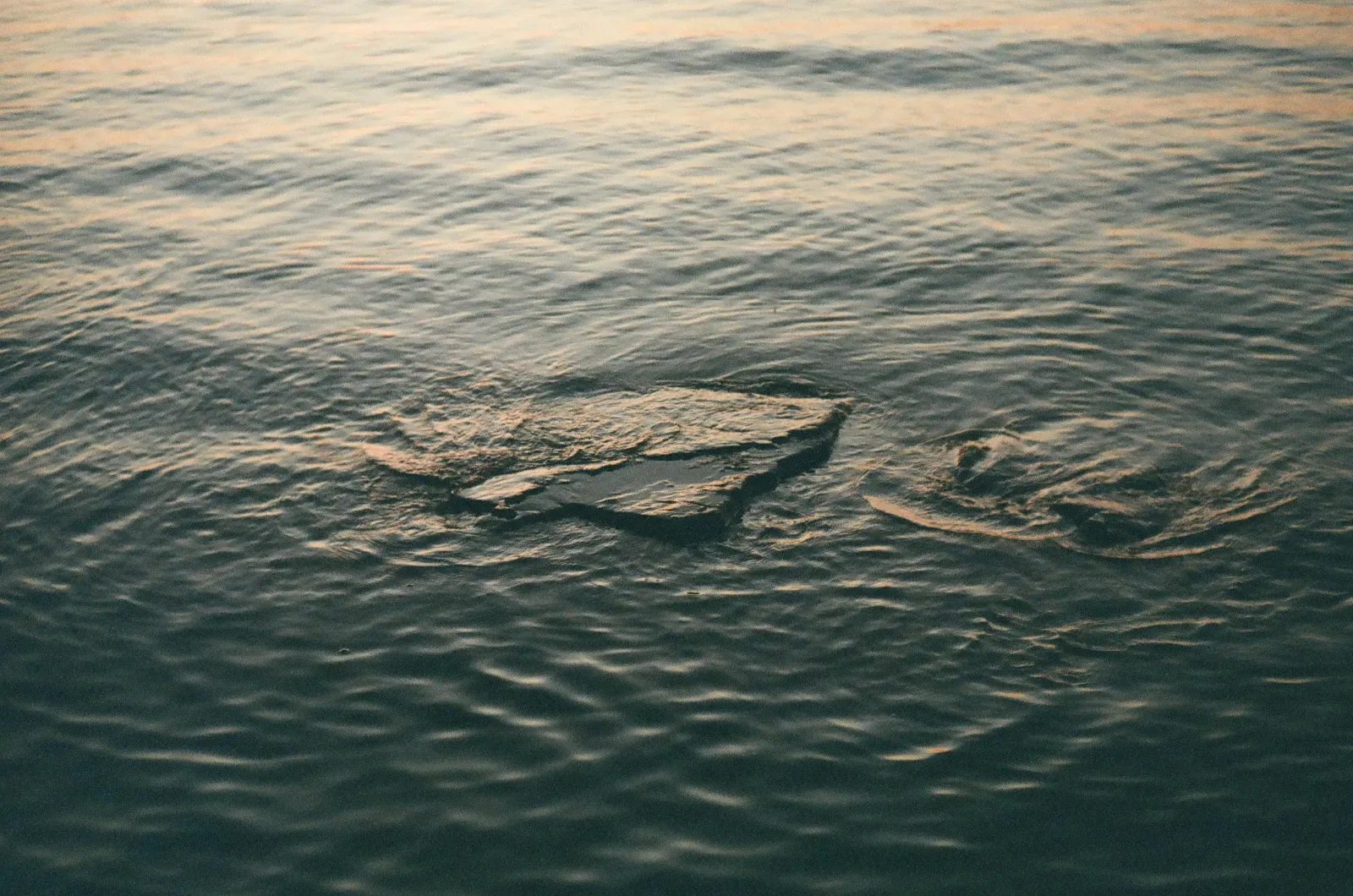 Film photo close-up of flat rocks breaking the surface of rippling water at dusk.