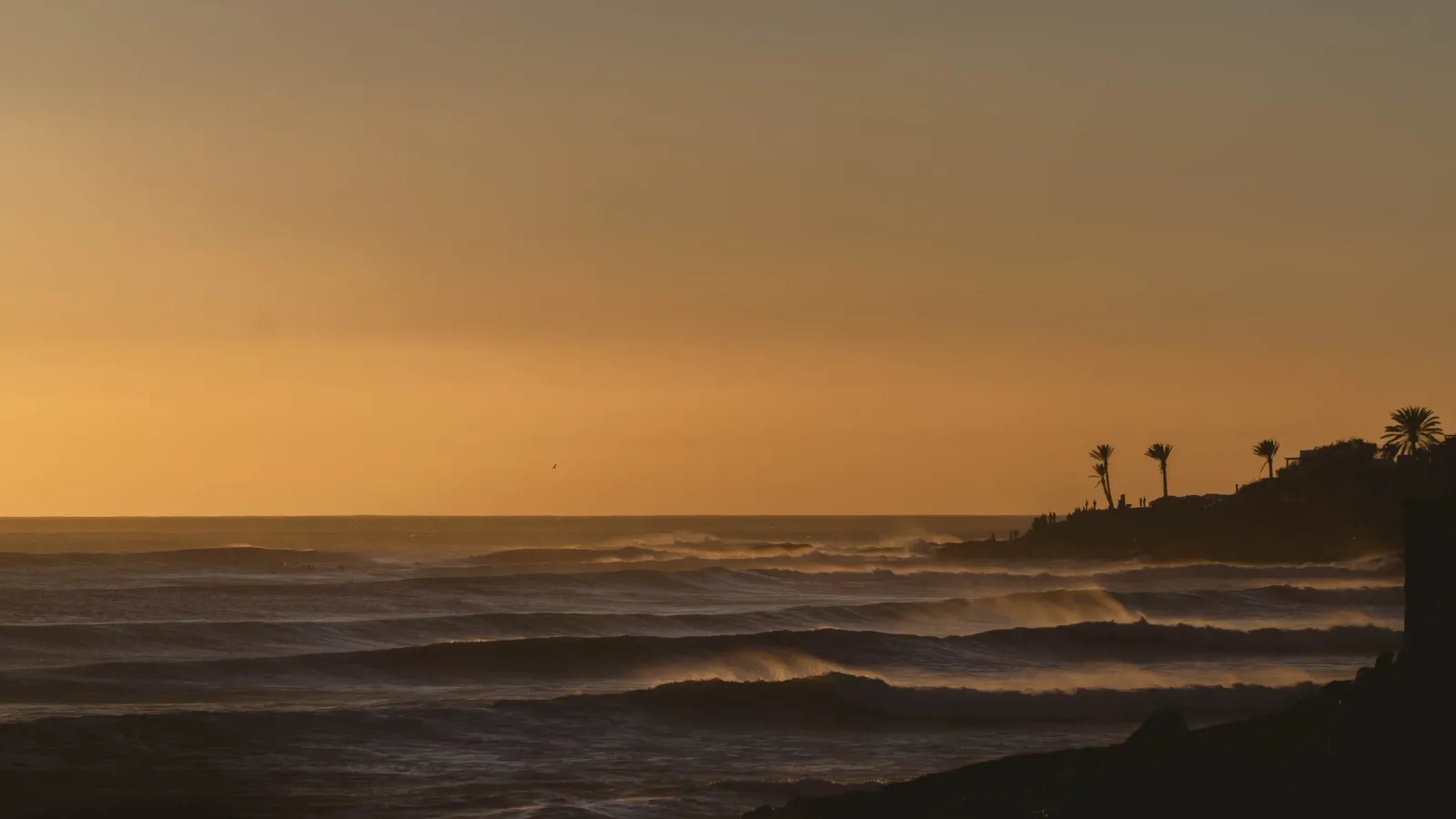 Ocean waves rolling in at sunset with silhouetted palm trees and people near a distant point break.