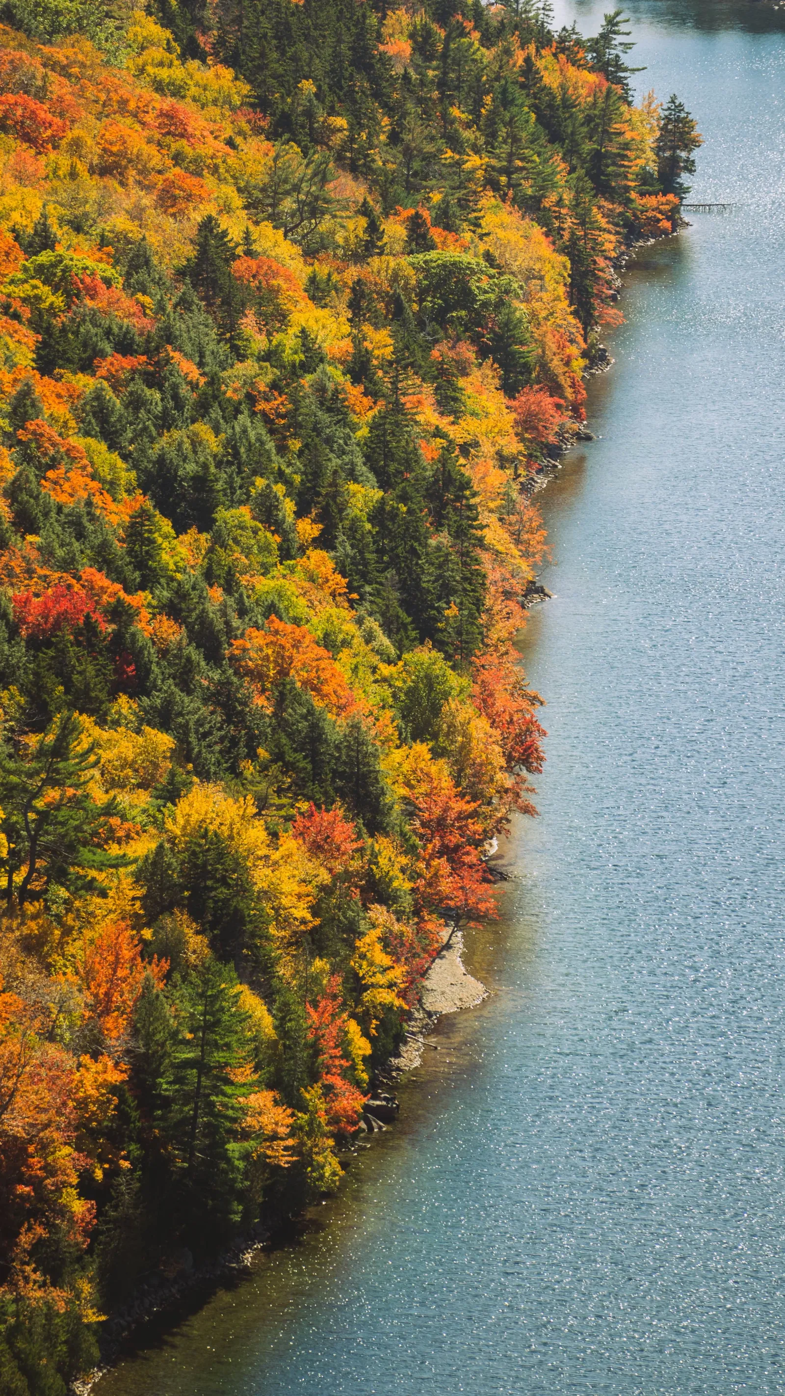 Aerial view of a lake shoreline lined with dense autumn forest in orange, yellow, and green.