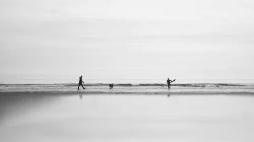 Black-and-white beach scene with a person walking, a dog, and a surfer carrying a board near the shorebreak.