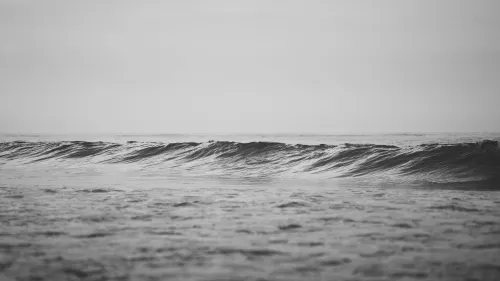 Black-and-white close-up of an ocean wave curling just before breaking.