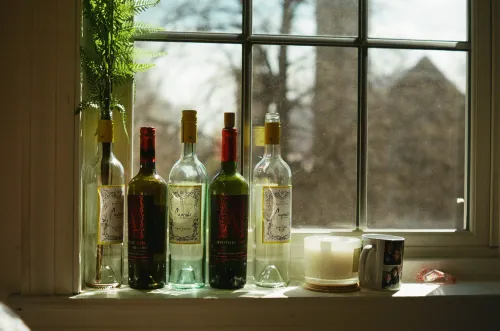 Film photo of empty wine bottles and a fern lined up on a sunlit windowsill.