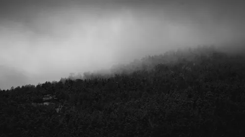 Black-and-white view of a fog bank rolling over a forested ridge.