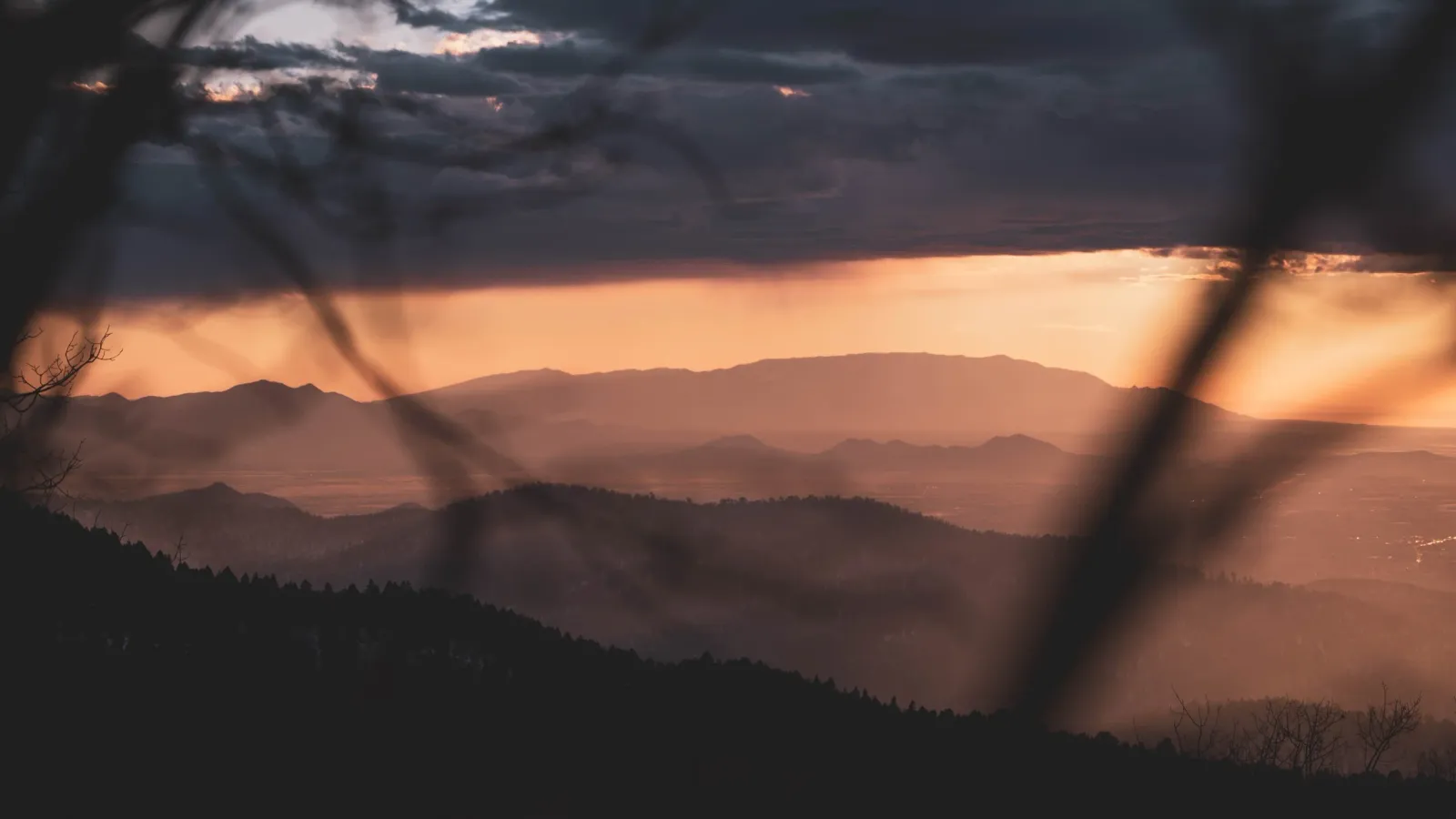 Silhouetted tree branches framing a mountain valley glowing orange at sunset.