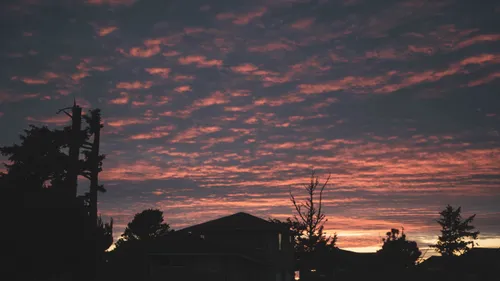 Pink and orange clouds streak across the sky at dusk above silhouetted houses and trees.