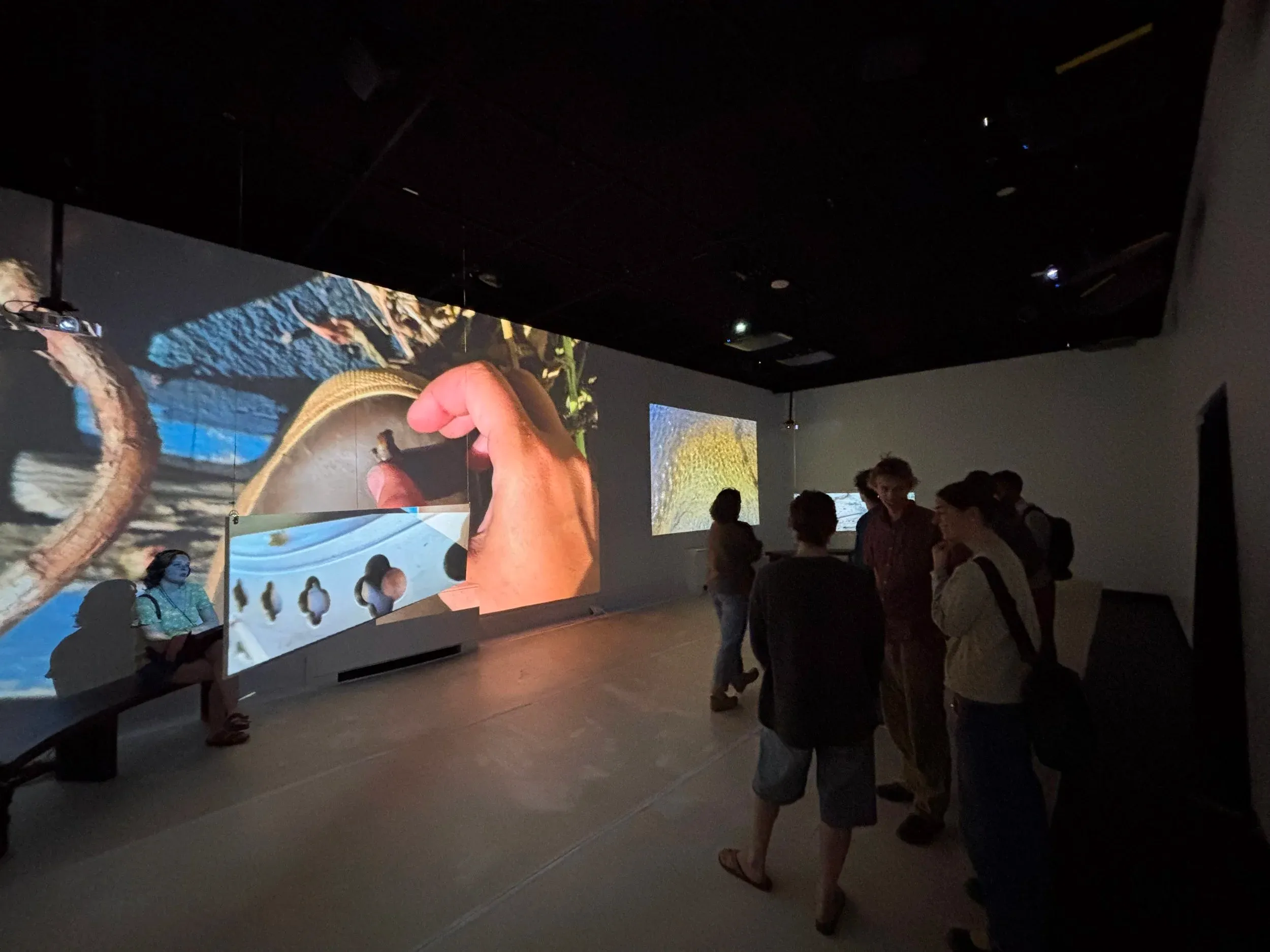 Installation view of overlapping video projections showing close-up hands and natural textures, with a viewer seated on a bench in front of the wraparound screens.